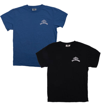 MAR/APR 2025 TOUR TEE - VINTAGE TOUR DATES